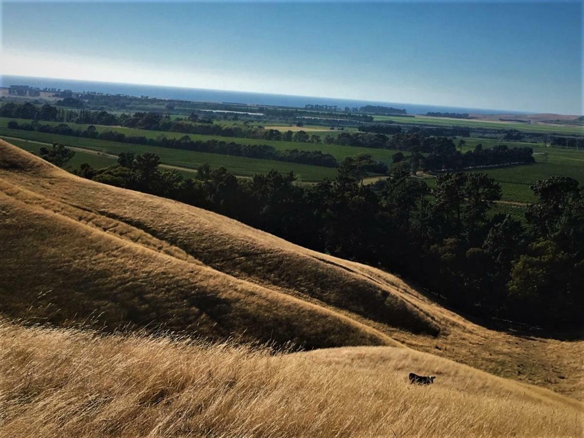 Hill Top Retreat Lower Dashwood Exterior foto